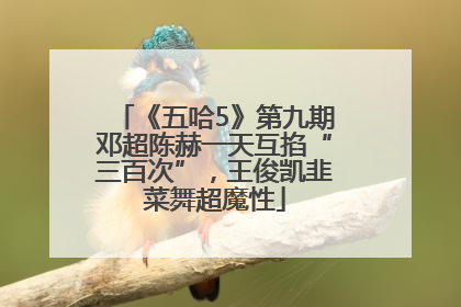 《五哈5》第九期邓超陈赫一天互掐“三百次”，王俊凯韭菜舞超魔性