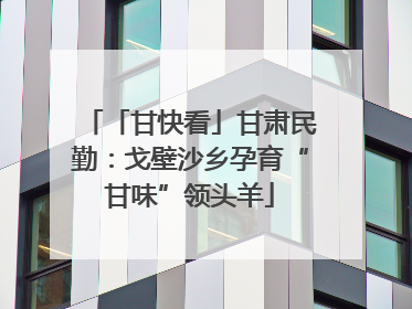 「甘快看」甘肃民勤：戈壁沙乡孕育“甘味”领头羊