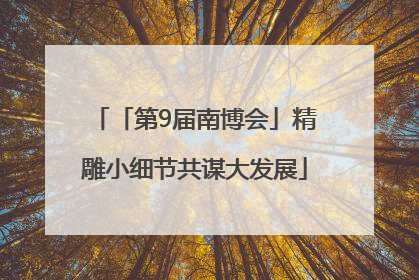 「第9届南博会」精雕小细节共谋大发展
