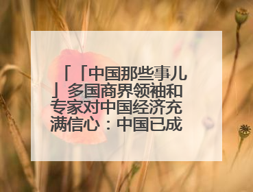 「中国那些事儿」多国商界领袖和专家对中国经济充满信心：中国已成为全球创新中心