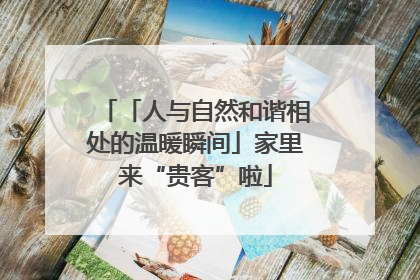 「人与自然和谐相处的温暖瞬间」家里来“贵客”啦