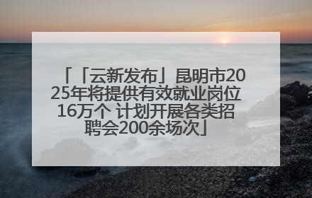 「云新发布」昆明市2025年将提供有效就业岗位16万个 计划开展各类招聘会200余场次