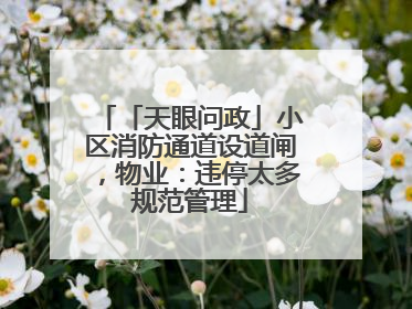 「天眼问政」小区消防通道设道闸，物业：违停太多规范管理