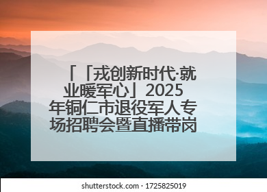 「戎创新时代·就业暖军心」2025年铜仁市退役军人专场招聘会暨直播带岗活动顺利举行