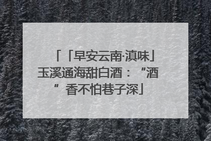 「早安云南·滇味」玉溪通海甜白酒：“酒”香不怕巷子深