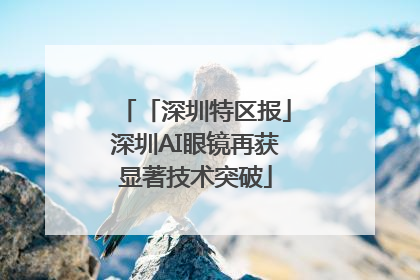 「深圳特区报」深圳AI眼镜再获显著技术突破