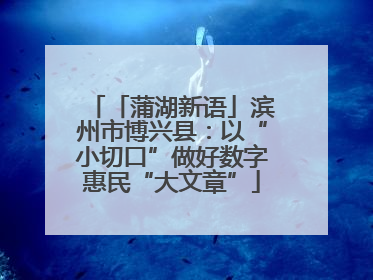 「蒲湖新语」滨州市博兴县：以“小切口”做好数字惠民“大文章”
