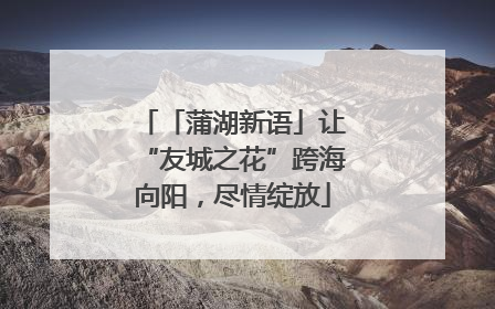 「蒲湖新语」让“友城之花”跨海向阳，尽情绽放