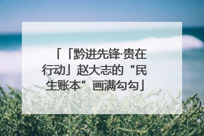 「黔进先锋·贵在行动」赵大志的“民生账本”画满勾勾