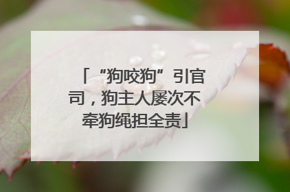 “狗咬狗”引官司，狗主人屡次不牵狗绳担全责