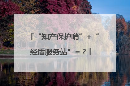 “知产保护哨”+“经盾服务站”=？
