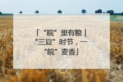 “皖”里有粮｜“三夏”时节，一“皖”麦香
