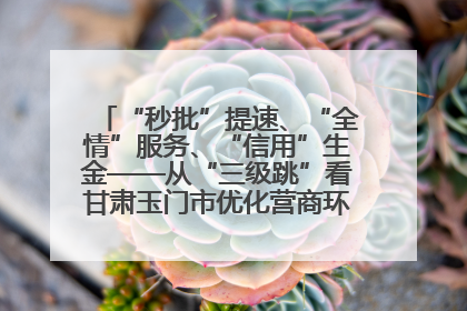 “秒批”提速、“全情”服务、“信用”生金——从“三级跳”看甘肃玉门市优化营商环境的进阶之路