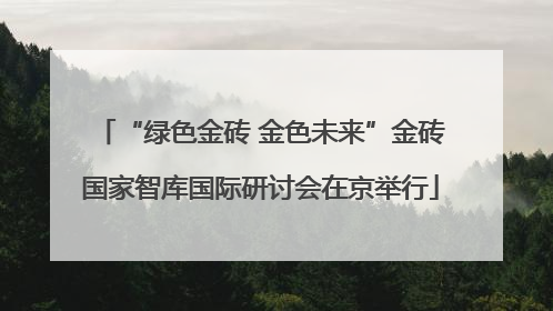 “绿色金砖 金色未来”金砖国家智库国际研讨会在京举行