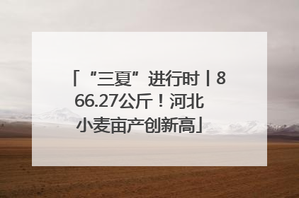 “三夏”进行时丨866.27公斤！河北小麦亩产创新高