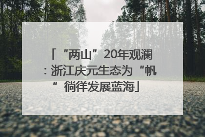 “两山”20年观澜：浙江庆元生态为“帆”徜徉发展蓝海