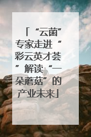 “云菌”专家走进“彩云英才荟”解读“一朵蘑菇”的产业未来