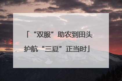 “双服”助农到田头 护航“三夏”正当时