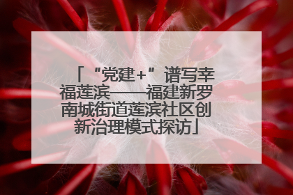“党建+”谱写幸福莲滨——福建新罗南城街道莲滨社区创新治理模式探访