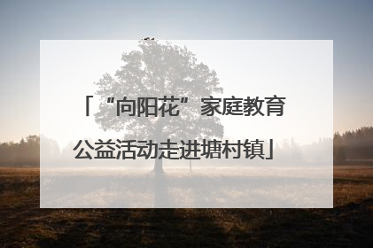 “向阳花”家庭教育公益活动走进塘村镇