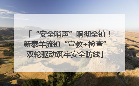 “安全哨声”响彻全镇！新泰羊流镇“宣教+检查”双轮驱动筑牢安全防线