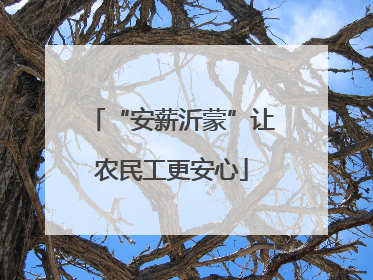 “安薪沂蒙”让农民工更安心