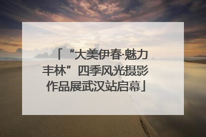 “大美伊春·魅力丰林”四季风光摄影作品展武汉站启幕