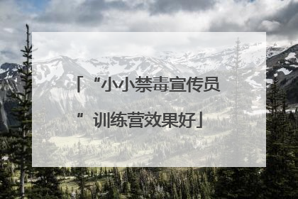 “小小禁毒宣传员”训练营效果好
