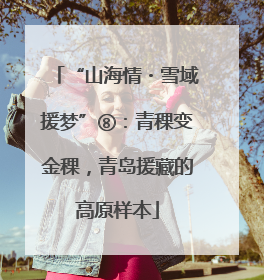 “山海情・雪域援梦”⑧：青稞变金稞，青岛援藏的高原样本