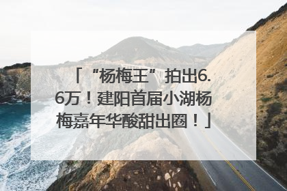 “杨梅王”拍出6.6万！建阳首届小湖杨梅嘉年华酸甜出圈！