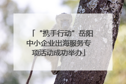 “携手行动”岳阳中小企业出海服务专项活动成功举办