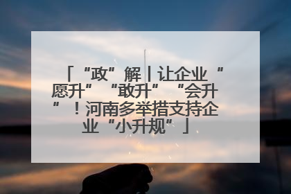 “政”解丨让企业“愿升”“敢升”“会升”！河南多举措支持企业“小升规”