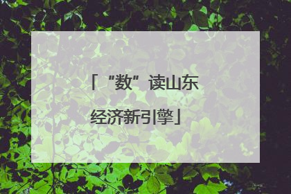 “数”读山东经济新引擎