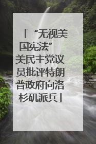 “无视美国宪法” 美民主党议员批评特朗普政府向洛杉矶派兵