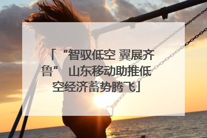 “智驭低空 翼展齐鲁” 山东移动助推低空经济蓄势腾飞