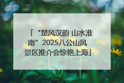“楚风汉韵 山水淮南”2025八公山风景区推介会惊艳上海