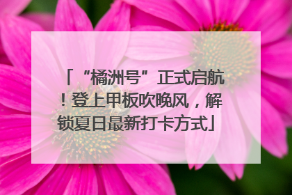 “橘洲号”正式启航！登上甲板吹晚风，解锁夏日最新打卡方式