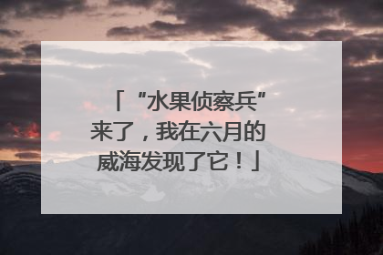 “水果侦察兵”来了，我在六月的威海发现了它！