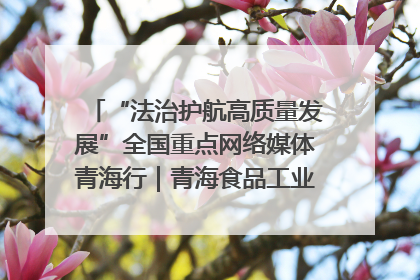 “法治护航高质量发展”全国重点网络媒体青海行｜青海食品工业协会：架起“青字号”美食的产业化桥梁