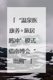 “温泉医康养+旅居腾冲”模式借南博会“出圈”
