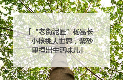 “老街泥匠”杨富长：小核桃大世界，紫砂里捏出生活味儿