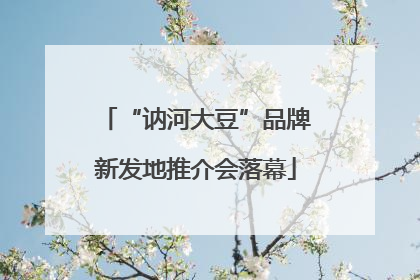 “讷河大豆”品牌新发地推介会落幕