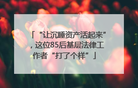 “让沉睡资产活起来”，这位85后基层法律工作者“打了个样”