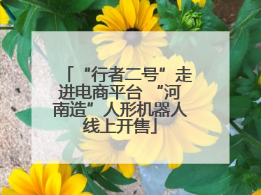 “行者二号”走进电商平台 “河南造”人形机器人线上开售
