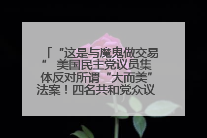 “这是与魔鬼做交易” 美国民主党议员集体反对所谓“大而美”法案！四名共和党众议员投反对票