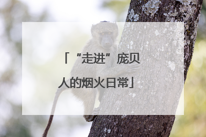 “走进”庞贝人的烟火日常