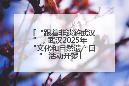 “跟着非遗游武汉”，武汉2025年“文化和自然遗产日” 活动开锣