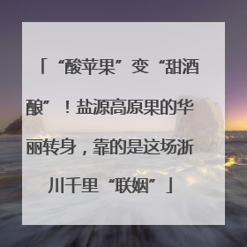 “酸苹果”变“甜酒酿”！盐源高原果的华丽转身，靠的是这场浙川千里“联姻”
