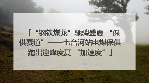 “钢铁煤龙”驰骋盛夏 “保供赛道”——七台河站电煤保供跑出迎峰度夏 “加速度”