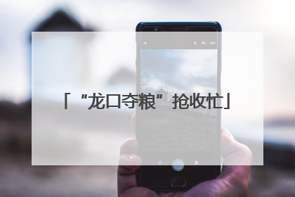 “龙口夺粮”抢收忙